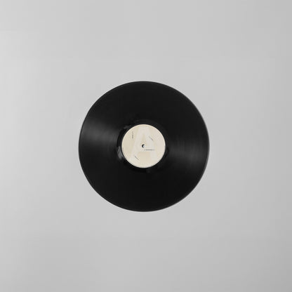 Julian Shore Sub Rosa vinyl record